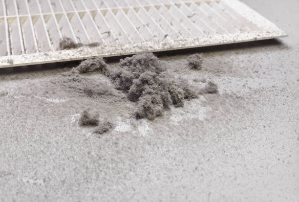 Best Professional Duct Cleaning Services  in Spring City, UT