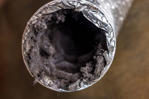 Best Home Air Vent Cleaning  in Spring City, UT